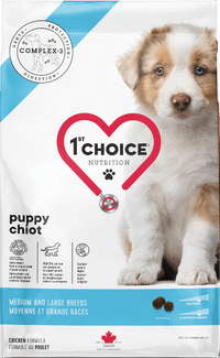 אוכל לגורי כלבים מגזע גדול