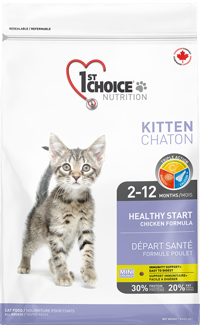 אוכל לגורי חתולים